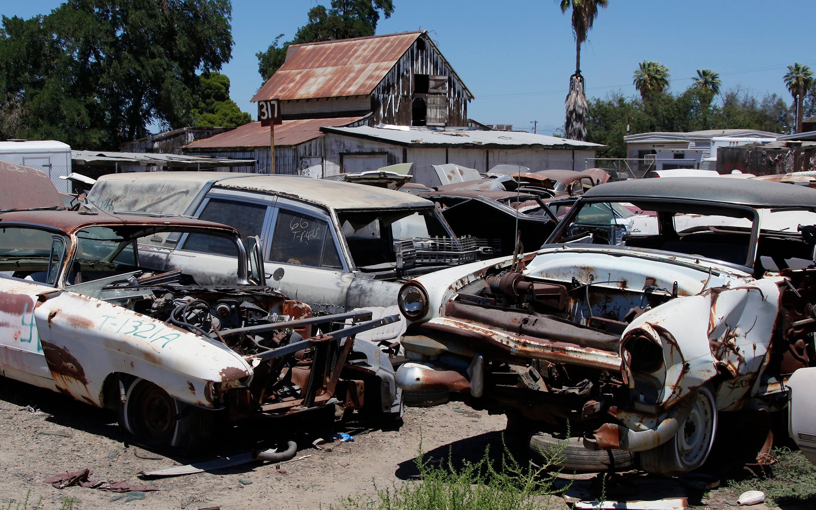 junkyard-vintage-cars-turners-auto-wreck